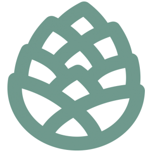 kupi u boru favicon